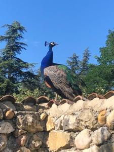 Hotels Le Tresor des Templiers : photos des chambres