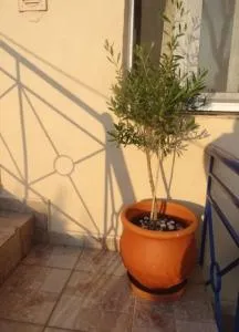 Velika seaside Apartment - Velika