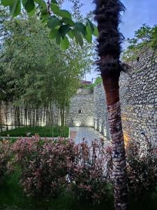 hotel treva
