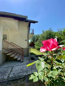 Vila Vidak
