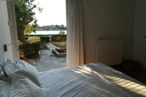 Pine tree beachfront villa