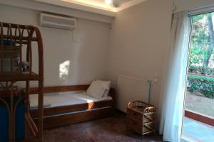 Pine tree beachfront villa