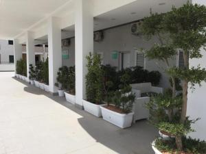 RICCIARDELLI HOLIDAY HOMES in paese di fronte al Mare