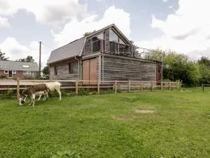 Cointree - Stalbridge