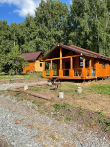 Берёзовая роща - Starochervovo