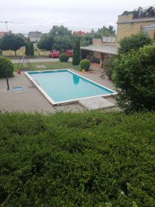 Wildflower Apartment