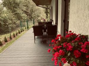 Ikšķiles apartamenti