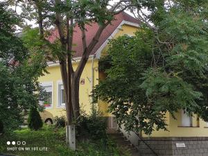 Szitakötő Apartman