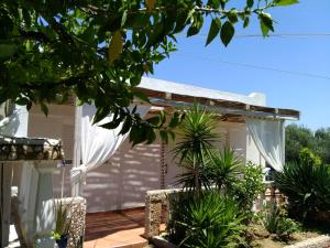 Luxury Cozy Villa With Garden Near The Sea