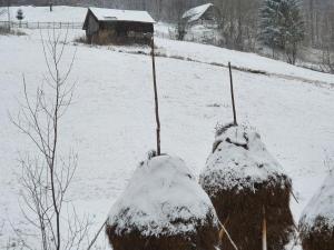 ALEGRIA - MOIECIU DE SUS