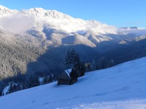 ALEGRIA - MOIECIU DE SUS