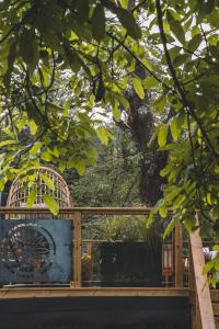 Apartamenty Polana Pająkówka