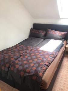 Am Kahlen Asten - Loft mit Fahrradkeller