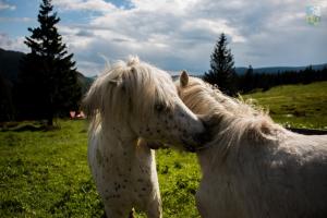 Josefova Bouda -Resort Svaty Frantisek