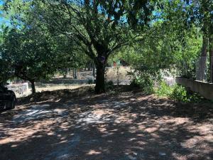 Maisons de vacances Jolie annexe du mas dans le coeur de la garrigue nimoise : photos des chambres