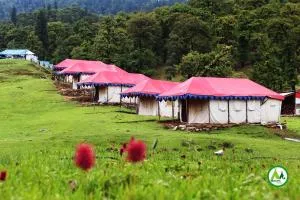 Chopta Mount Holiday Camp & Resort - Gopeshwar