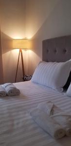 Spacious and Cozy Apartment - Ajia Apartment