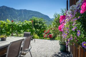 Lovely house with mountain view & big garden in Bad Aussee