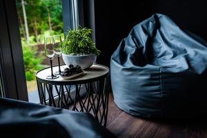 Vila Smiltynė ant ežero kranto