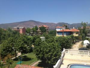 Triple Room with Pool View