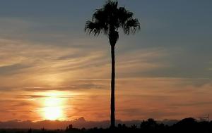 Apartamento T2 Palmeira Galé-Praia da Galé