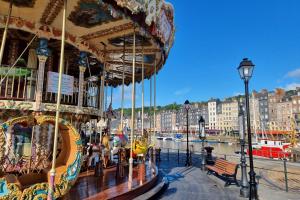 Appartements Joconde - duplex in the historic center : photos des chambres