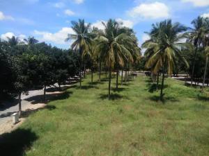 Avi Fortune Suites - Near Bangalore International Airport