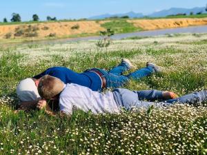 LBloom Country House