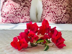 LBloom Country House