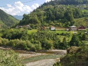 Guest House Okropilauri - Goderdzi