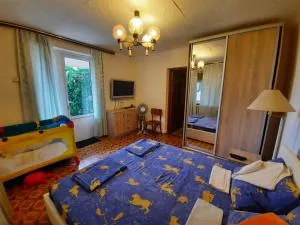 Гостевой дом "Боцман" на Барцыц-Гудаутская 5 - Alpiiskoe