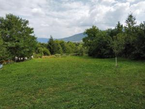 Camping Zamolxe