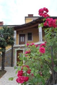 Apartments Apartim Piran