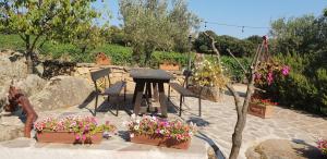 Agriturismo Vermentino img2