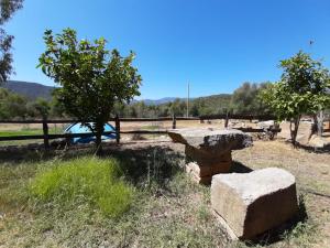 S'Imbragu Farm B&B img99