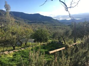 S'Imbragu Farm B&B img71