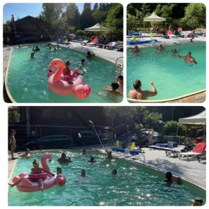 Sárkánytanya-Hanul Dragonului