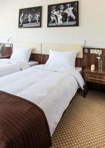 Hotel Antonio Conference