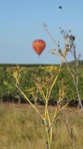 B&B / Chambres d'hotes Chambres d'hotes La Hourqueyre : photos des chambres