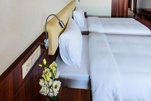 Hotel Antonio Conference