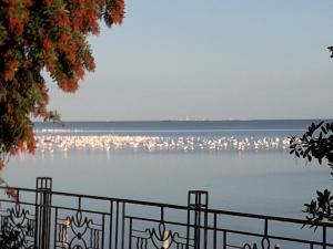 Résidence Kyranis appartement Gyptis