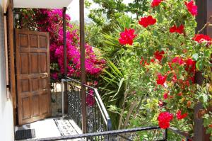 Hotel Villa Marie Epirus Greece