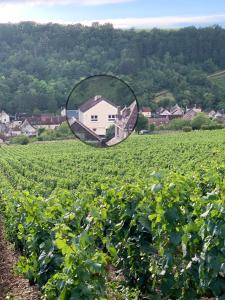 Maisons de vacances Maison de campagne entre vigne et bois : photos des chambres