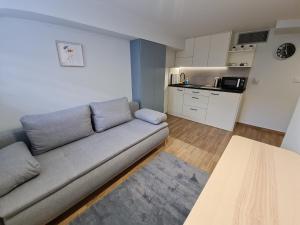 Apartament Łąki18