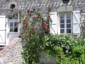 B&B / Chambres d'hotes Domaine de L'Isle Basse : photos des chambres