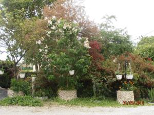 Appartements Les Galets : photos des chambres