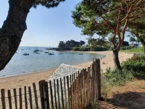 DUDUCHE Family - Kervoyal