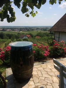 Kellerstöckl Am Weinberg 140 Gaas