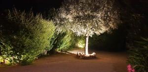 "SA DOMO DE SOS ARANZOS" img61