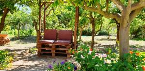 "SA DOMO DE SOS ARANZOS" img63